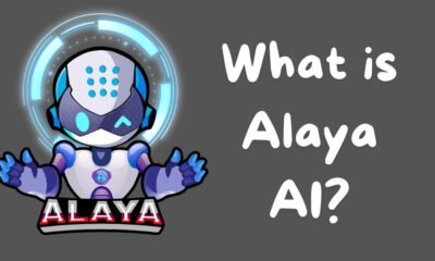 What is Alaya AI?