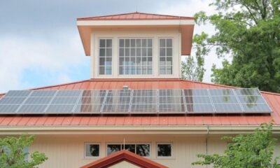 solar panel cleaning service