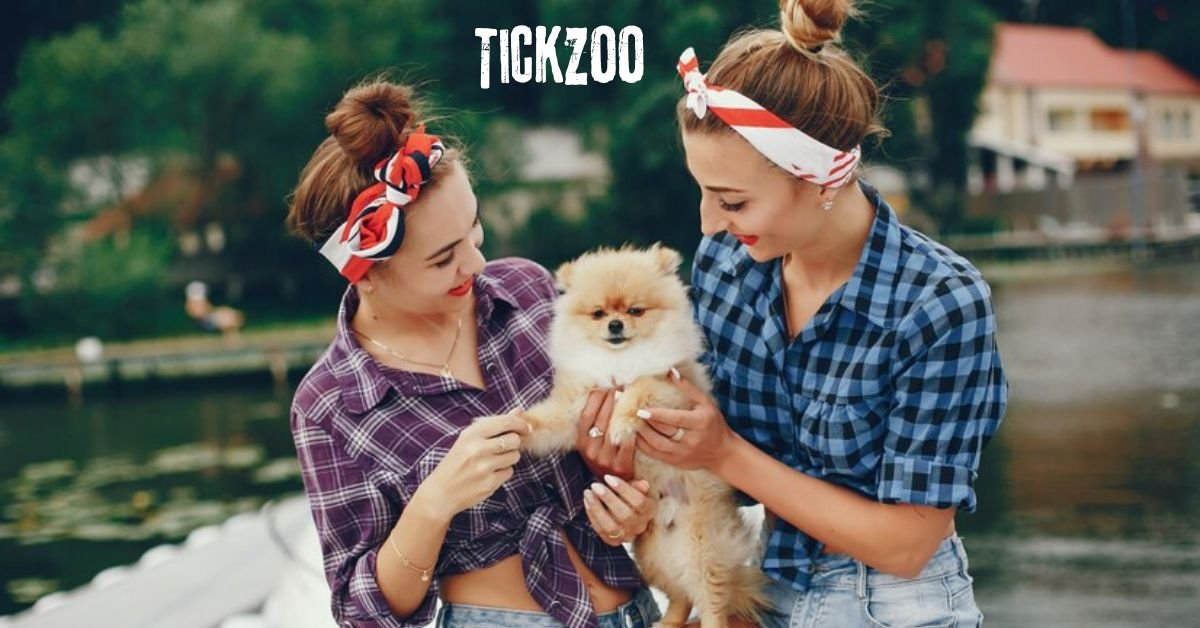 Tickzoo