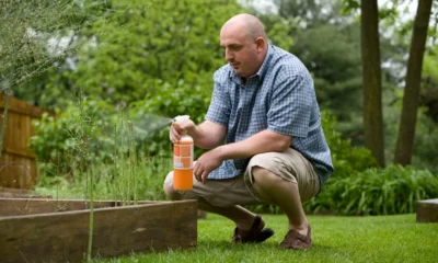 natural garden pest control