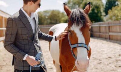 Effective Horse Training