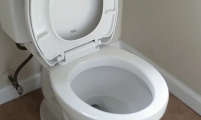 how much does a toilet weigh