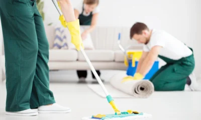 professional carpet cleaning