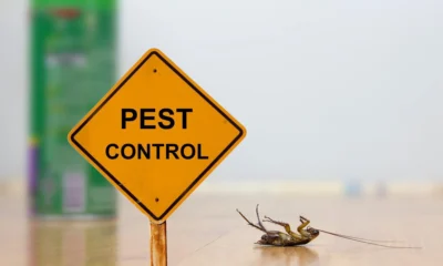 24-hour pest control