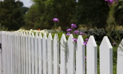 fence stain colors