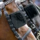 horse blinders