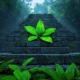 mayane eco