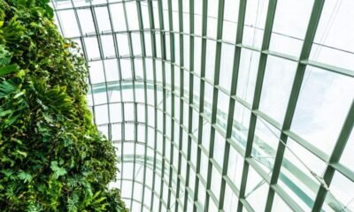 Glass Replacement in Madison AL