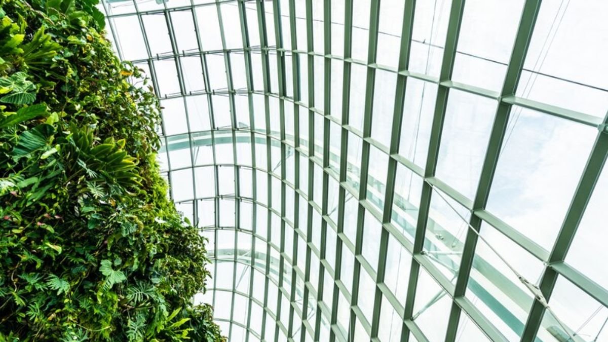 Glass Replacement in Madison AL