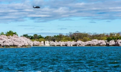 harry lare rhode island