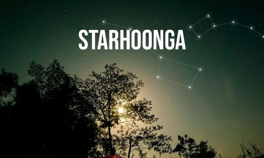 Starhoonga Unlocking Unique Insights And Opportunities
