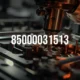 85000031513