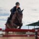 Best Practices for Storing Horse Jumps