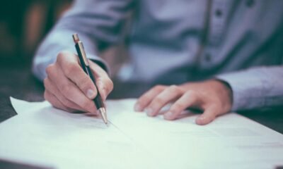 Domain Expert Lawyers