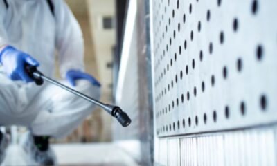 Costly Damage from Pests