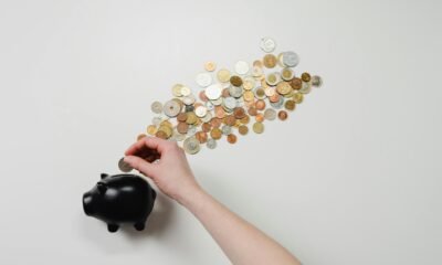 Investment Strategies