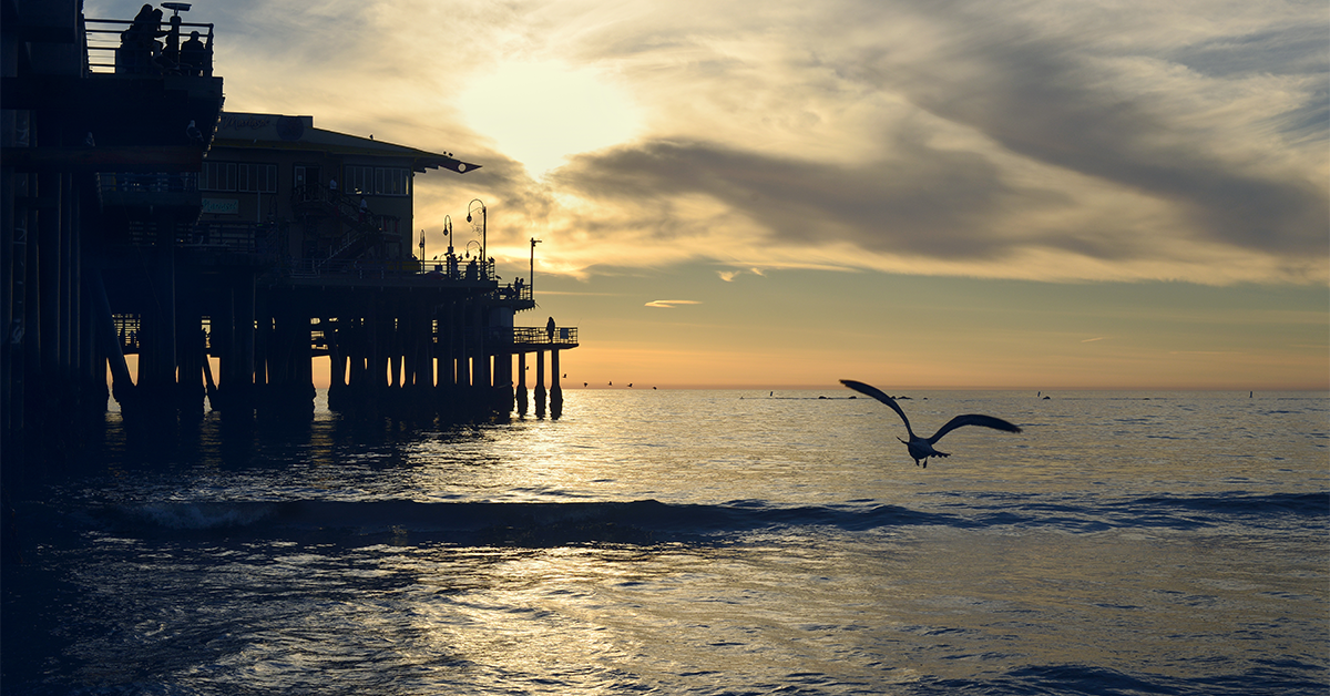 Offshore accident lawyer premium