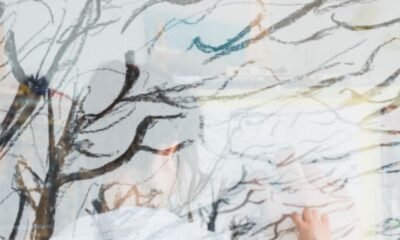 Beauty Wabi Sabi Nature Art In Harmony