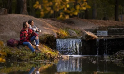 newbury park ventura