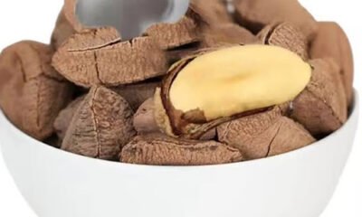 Macadamia Nuts Wholesale